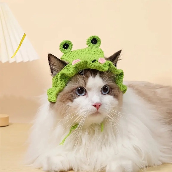 Crochet Green Frog Hat for Small Pets, Cat or Dog - Picture 5 of 16